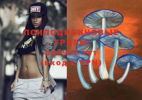 mix Баксан