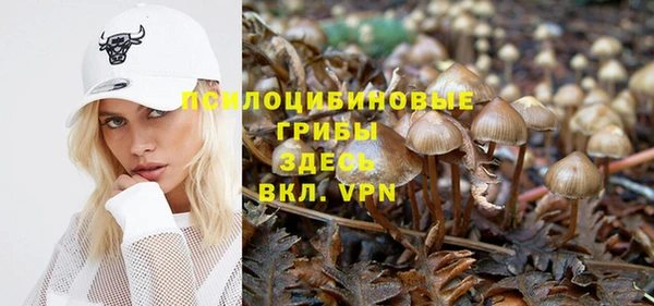 ешки Балахна