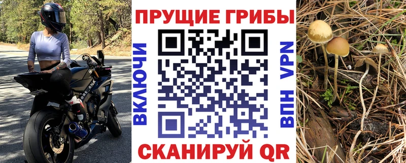 хочу наркоту  Белёв  гидра сайт  Галлюциногенные грибы Magic Shrooms 